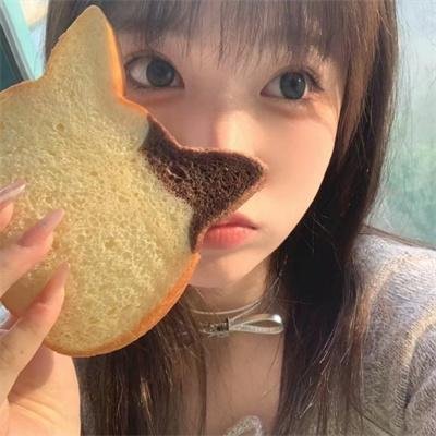 北极故事